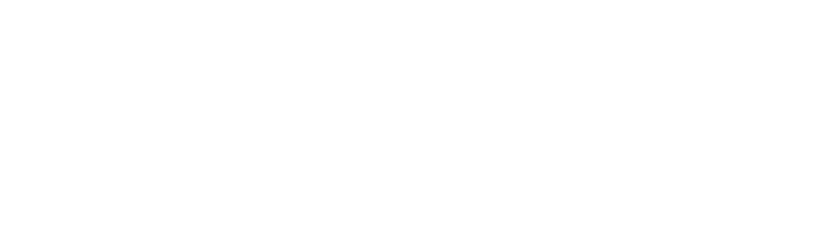 smart and simple insurance logo