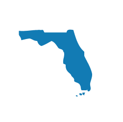 florida state blue overlay